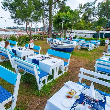 Miarosa Ghazal 5*