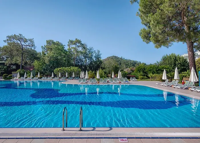 Miarosa Ghazal Kemer